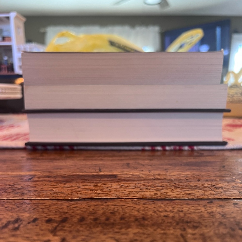 The Shadow Glass, The Haunting of Ashburn House & Storm and Fury horror fantasy - Picture 5 of 6